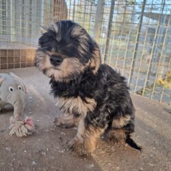 DOXA +++vorreserviert+++