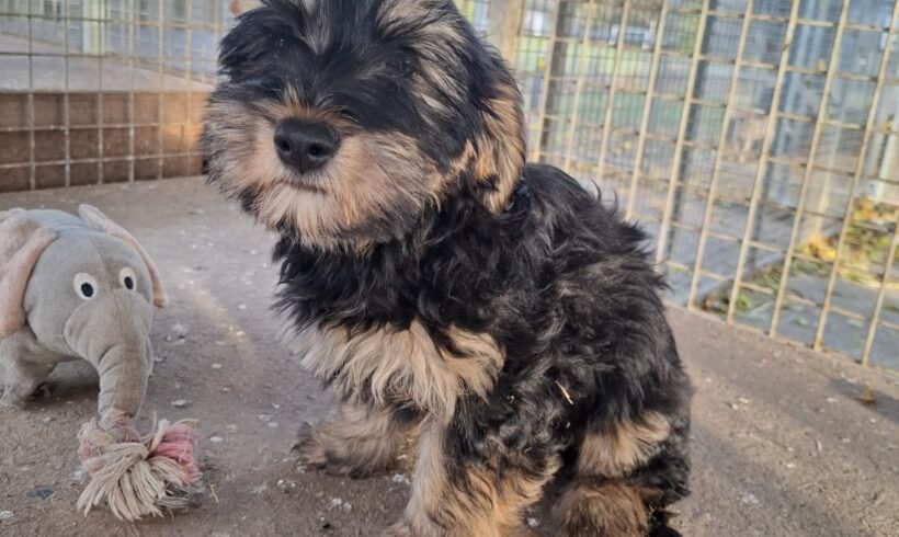 DOXA +++vermittelt+++