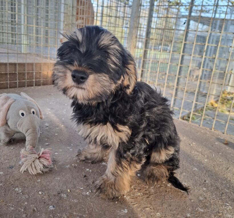 DOXA +++vermittelt+++