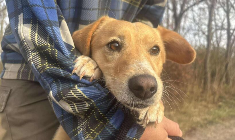 Morsza ♥ vorreserviert ♥