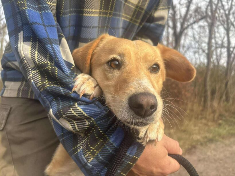 Morsza ♥ vorreserviert ♥