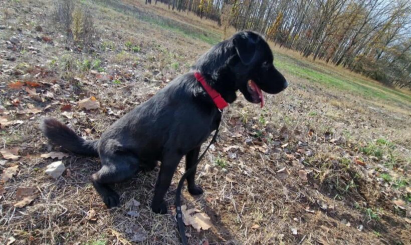 Papi 5 ♥ vorreserviert ♥