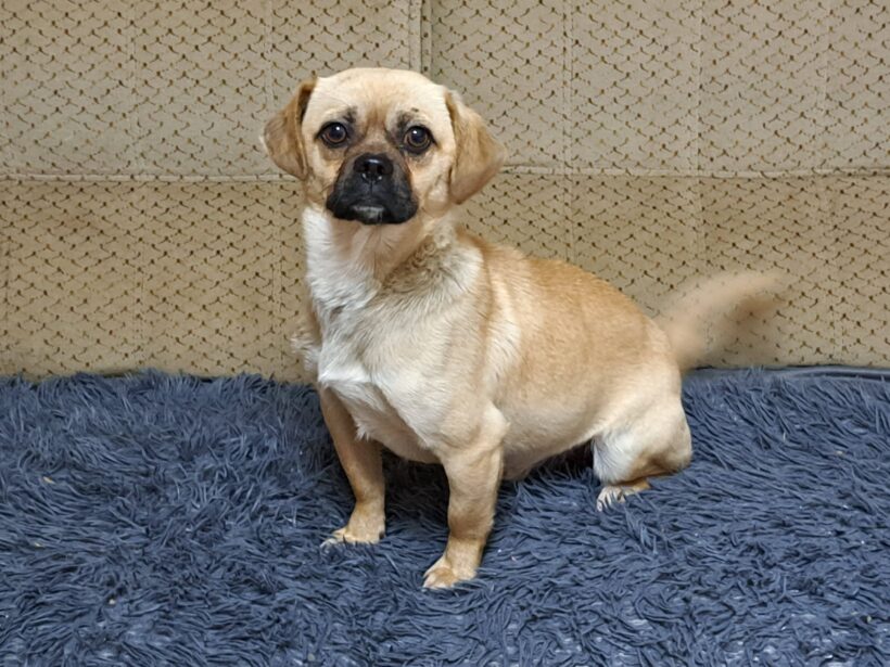 Gerry +++vermittelt+++ Gerry +++vermittelt+++