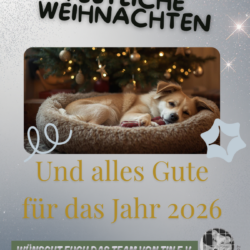 Frohe Weihnachten und ein gesegnetes 2026