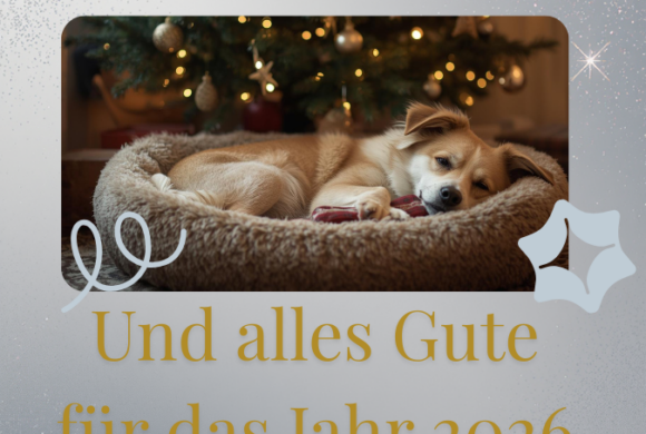 Frohe Weihnachten und ein gesegnetes 2026