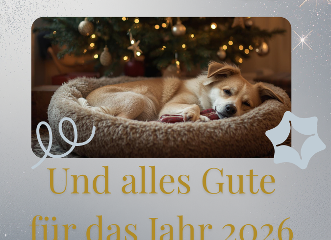 Frohe Weihnachten und ein gesegnetes 2026