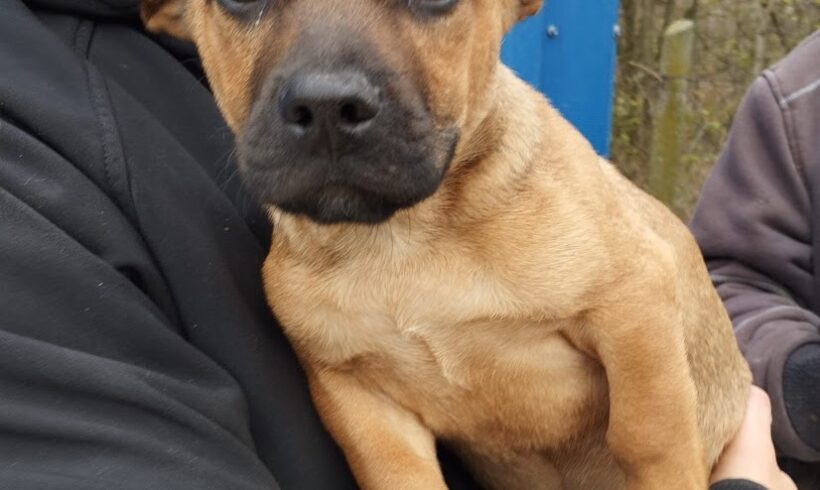 Dagi 8 +++vorreserviert+++