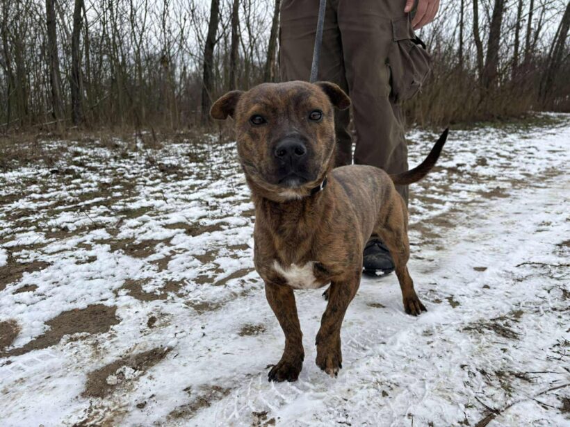 Dio 6 ♥ vorreserviert ♥