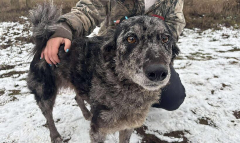 Heidi ♥ vermittelt ♥