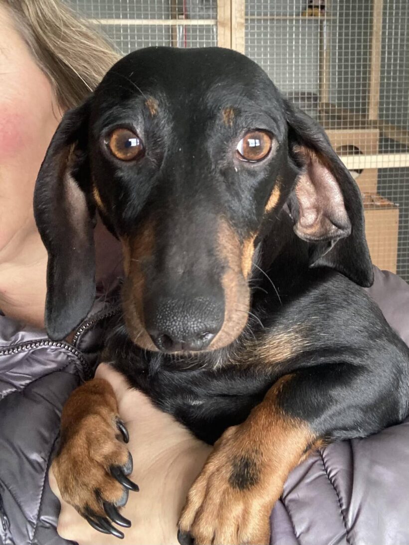 Dzseni 4 +++vorreserviert+++ Dzseni 4 +++vorreserviert+++