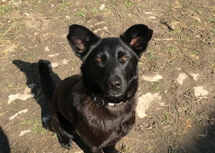 Sarolta ♥ Auf PS in 38154 Lelm ♥