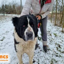 Dása ♥ NOTFALL !!