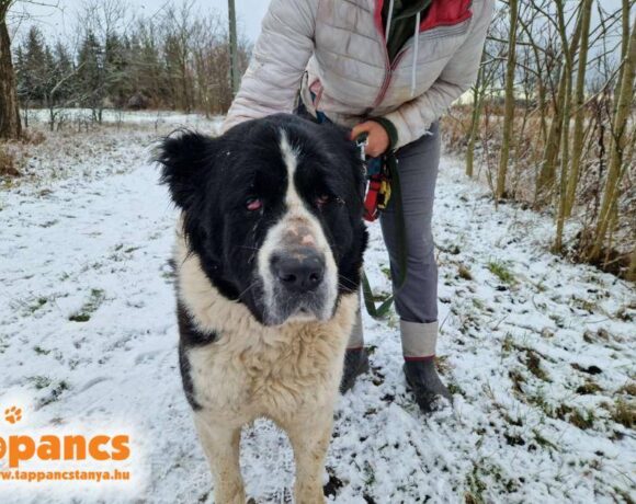 Dása ♥ NOTFALL !!