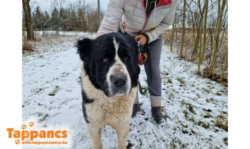 Dása ♥ NOTFALL !!