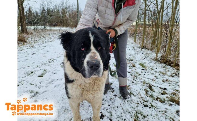 Dása ♥ NOTFALL !!