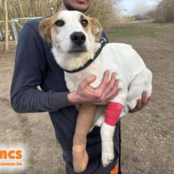 Miki 5 ♥ NOTFALL !!!!