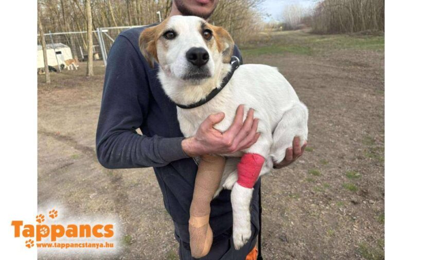 Miki 5 ♥ NOTFALL !!!!