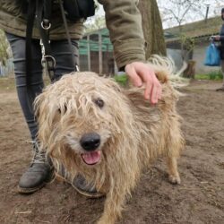 Wander ♥ NOTFALL!!