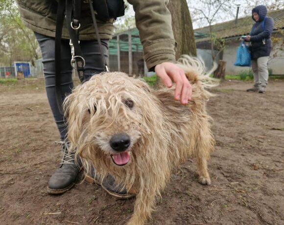 Wander ♥ NOTFALL!!