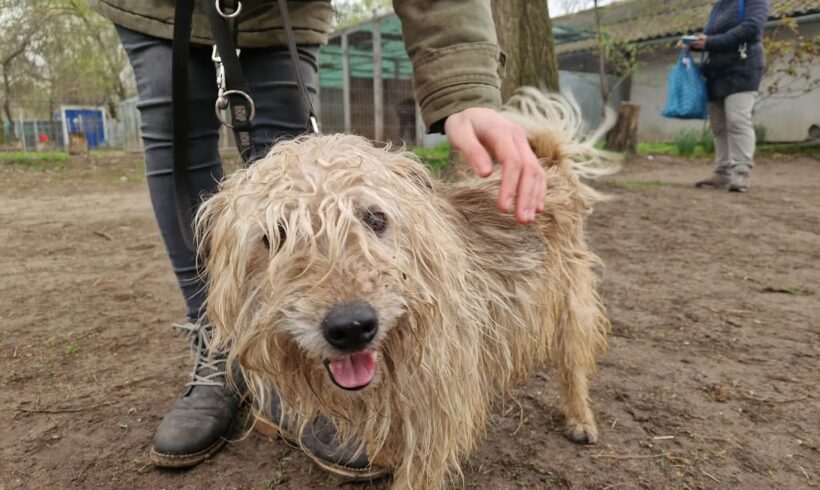 Wander ♥ NOTFALL!!