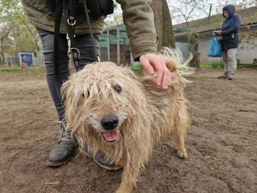 Wander ♥ NOTFALL!!