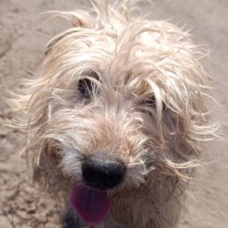 Wander ♥ NOTFALL!!