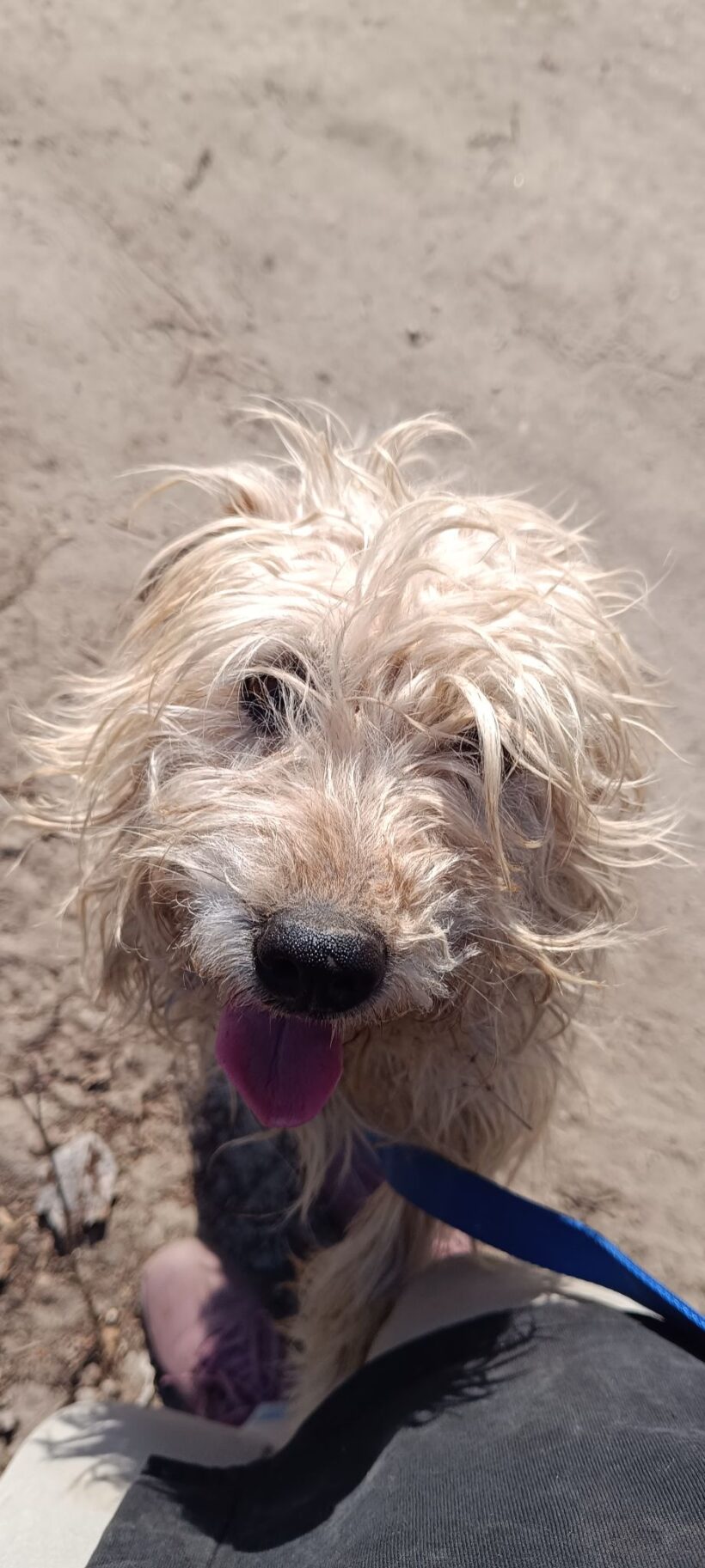 Wander ♥ NOTFALL!!