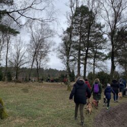 Wunderschöne TIN-Wanderung am 28.03.2026, diesmal in der Lüneburger Heide