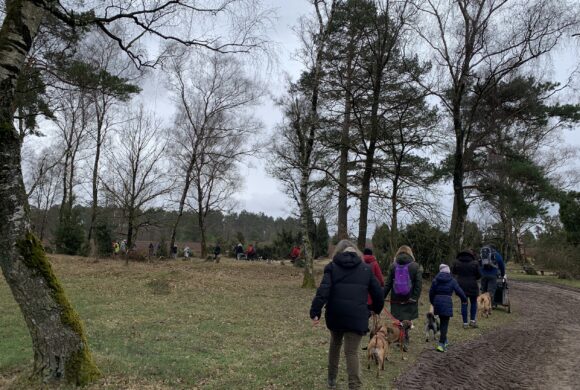 Wunderschöne TIN-Wanderung am 28.03.2026, diesmal in der Lüneburger Heide