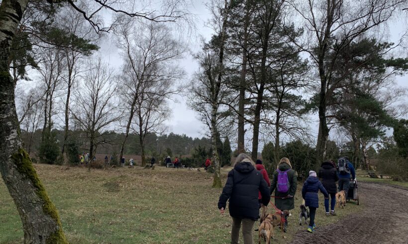 Wunderschöne TIN-Wanderung am 28.03.2026, diesmal in der Lüneburger Heide