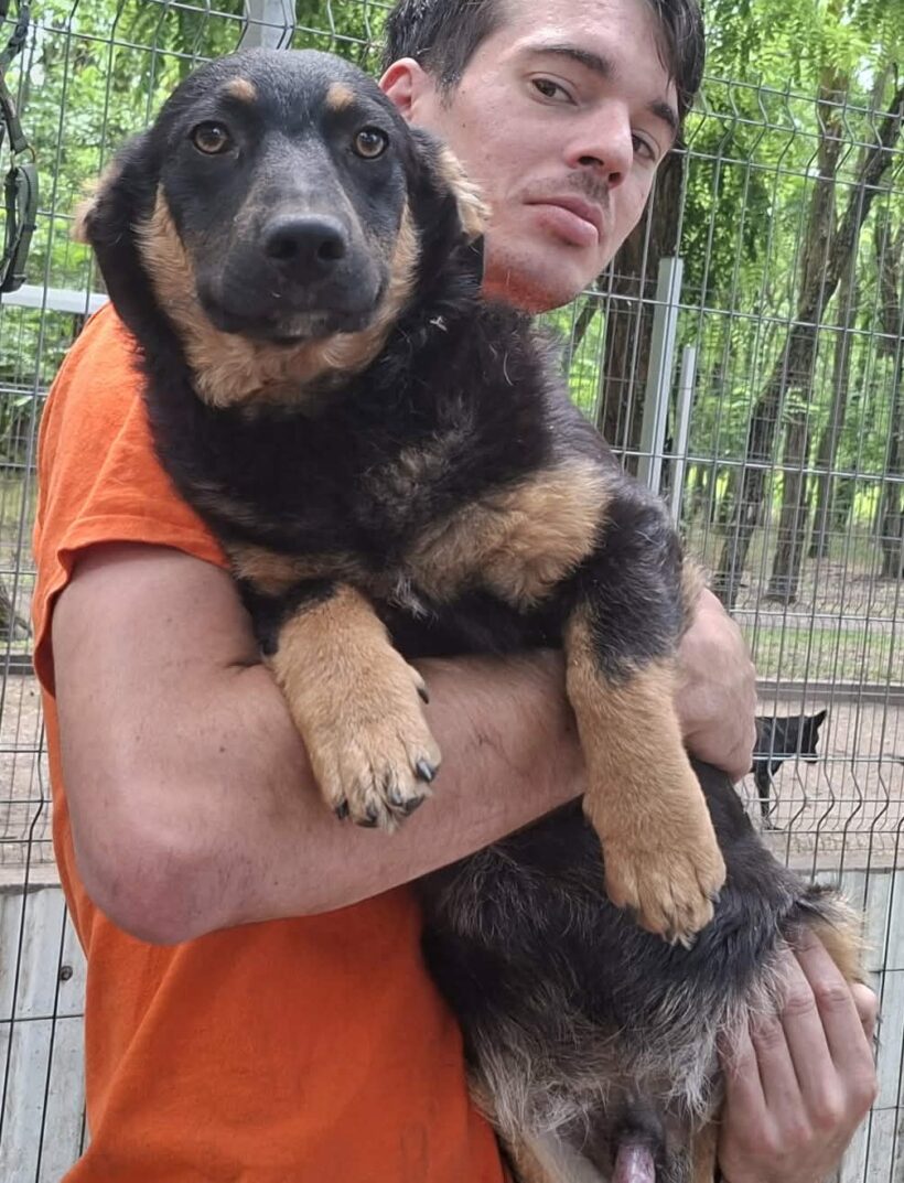 Solyom  ♥ zieht am 06.06. auf Pflegestelle in 34125 Kassel ♥
