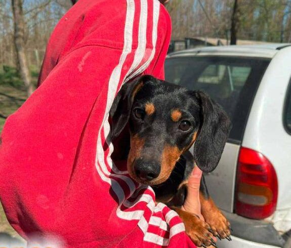 Mütyür ♥ vermittelt ♥ sie darf mit Mimoza zusammenbleiben ♥