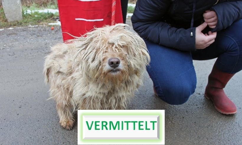 Greti ♥vermittelt♥