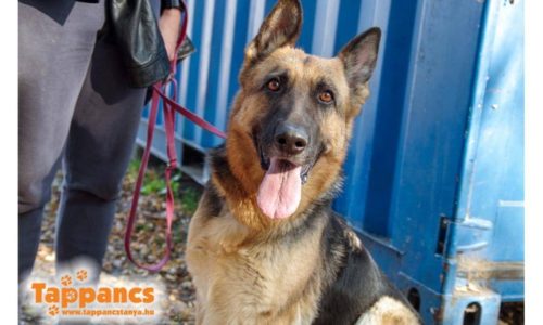 Liza †im Heim verstorben an Krebs†