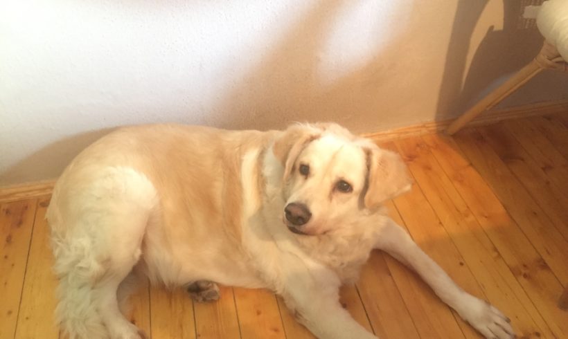 Ludmilla (Nagykanizsa)